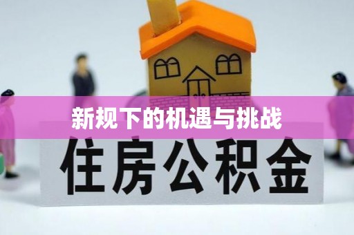 文成新规下的机遇与挑战