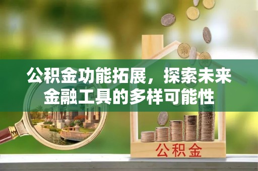 文成公积金功能拓展，探索未来金融工具的多样可能性