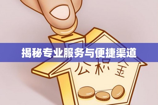 文成揭秘专业服务与便捷渠道