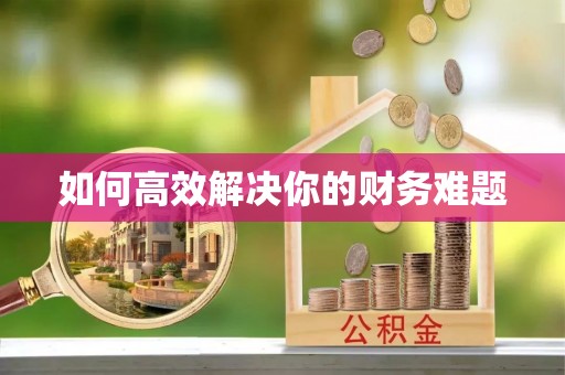 文成如何高效解决你的财务难题