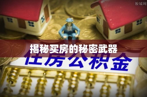 文成揭秘买房的秘密武器