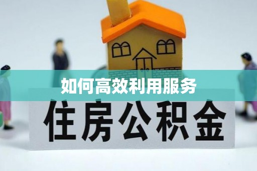 文成如何高效利用服务