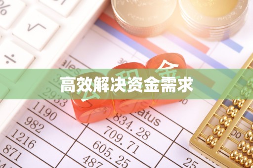文成高效解决资金需求