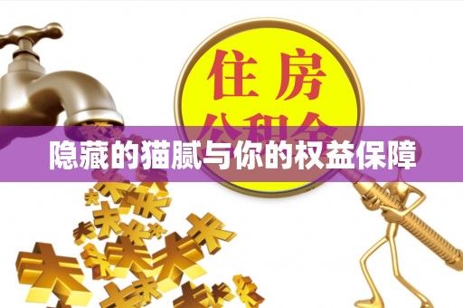 文成隐藏的猫腻与你的权益保障