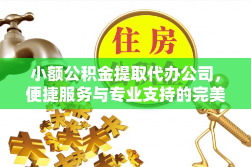 文成小额公积金提取代办公司，便捷服务与专业支持的完美结合