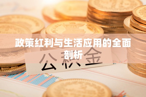 文成政策红利与生活应用的全面剖析