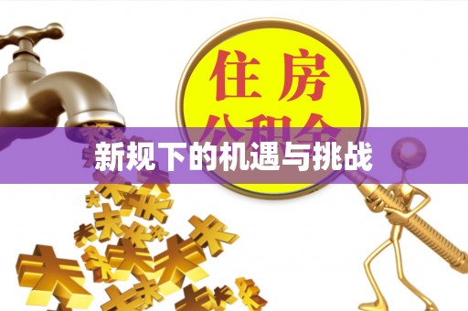 文成新规下的机遇与挑战