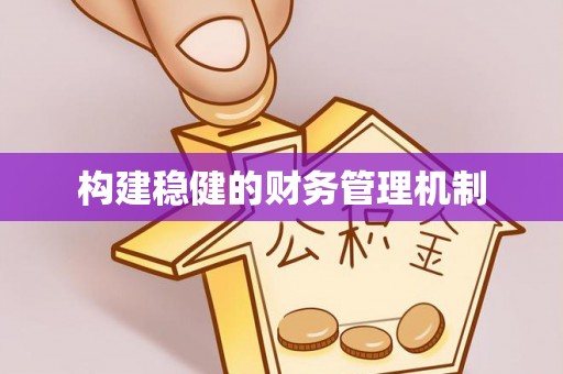 文成构建稳健的财务管理机制
