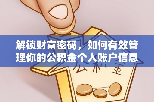 文成解锁财富密码，如何有效管理你的公积金个人账户信息