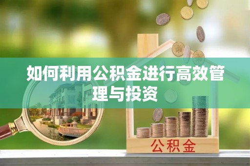 文成如何利用公积金进行高效管理与投资
