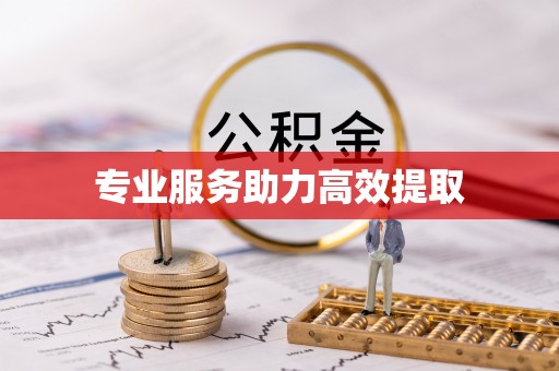 文成专业服务助力高效提取