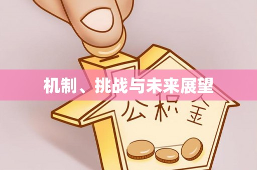 文成机制、挑战与未来展望