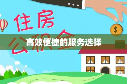 文成高效便捷的服务选择